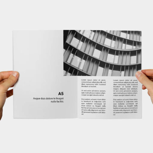 A5-esite, 8-28 sivua